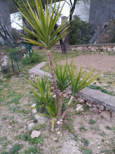 Photo de galerie - Entretien espaces verts 