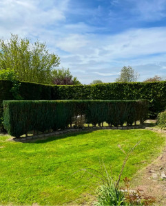 Photo de galerie - Taille de haies et d'arbustes