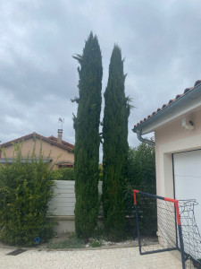 Photo de galerie - Avant 