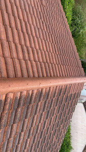 Photo de galerie - Couverture - Toiture
