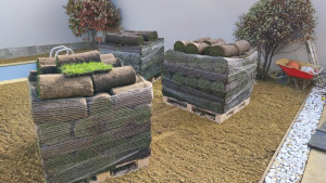 Photo de galerie - Préparation et nivellement du terrain – fourniture et pose de gazon naturel en rouleaux – finitions et aménagement des espaces verts. »