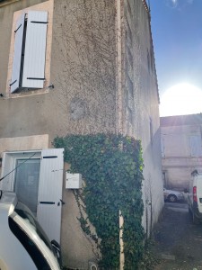 Photo réalisation - Jardinier - Florian (Monsieur Flo) - Magnac-sur-Touvre : Enlèvement  de lierre sur façade 