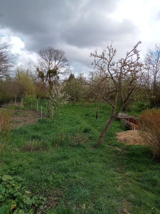 Photo de galerie - Paysagiste - Aménagement du jardin