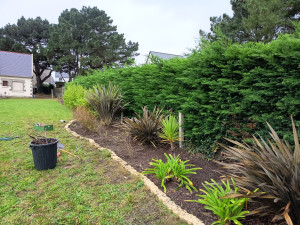 Photo de galerie - Nettoyage de parterre 