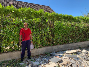 Photo de galerie - Taille des haies