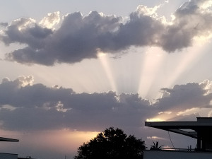 Photo de galerie - Je délivre des messages canalisés et je pratique la cartomancie co
mme support.