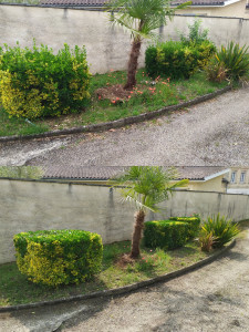 Photo de galerie - Jardinier