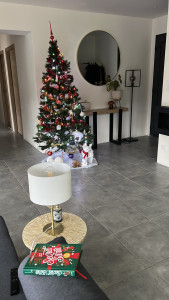 Photo de galerie - Installation d’un miroir murale 