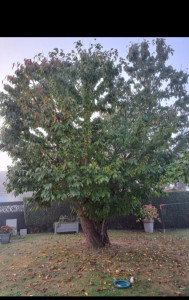 Photo de galerie - Avant 
