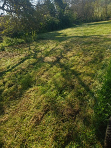 Photo de galerie - Tonte 