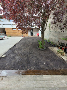 Photo de galerie - Création pelouse et pose de bordure 