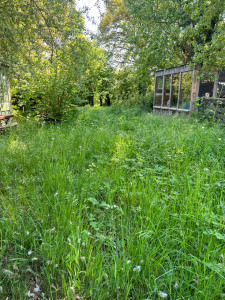 Photo de galerie - Tonte de pelouse - Débroussaillage