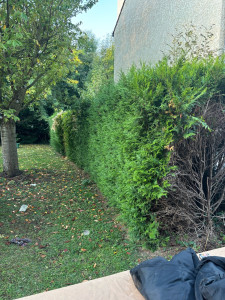 Photo de galerie - Avant