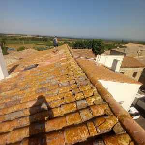 Photo de galerie - Traitement de toiture et démoussage.