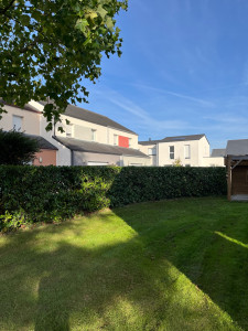 Photo de galerie - Taille de haies