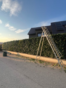 Photo de galerie - Après 