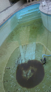 Photo de galerie - Entretien piscine