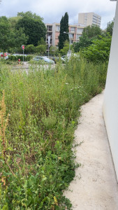 Photo de galerie - Jardinier