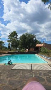 Photo de galerie - Entretien piscine