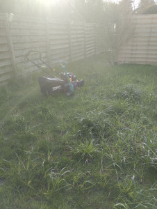 Photo de galerie - Nettoyage de pelouse
