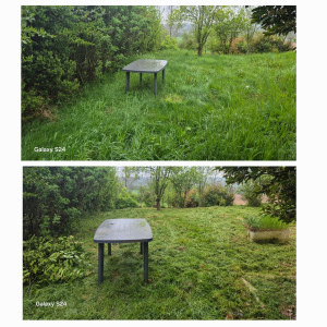 Photo de galerie - Tonte de pelouse - Débroussaillage