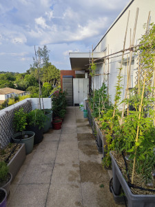 Photo de galerie - Pose irrigation automatique terrasse 