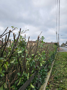 Photo de galerie - .