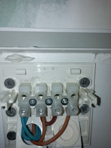 Photo de galerie - Baes électrique 