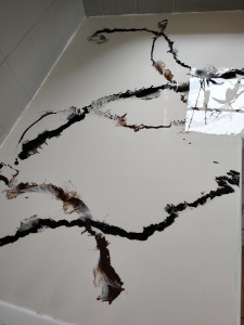 Photo de galerie - Peinture - Tapisserie