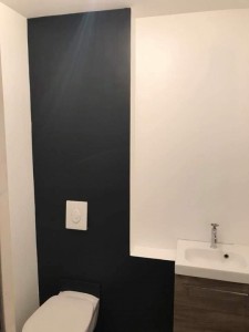 Photo de galerie - Peinture dans Wc 
Peinture grise anthracite au demande du client.