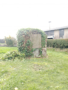 Photo de galerie - Paysagiste - Aménagement du jardin