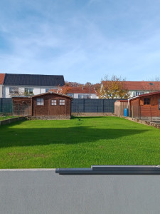 Photo de galerie - Gazon semé 