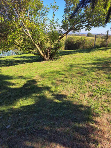 Photo de galerie - Debroussaillage