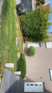 Photo de galerie - Tonte de pelouse - Débroussaillage