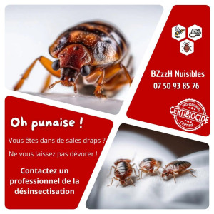Photo de galerie - Destruction de punaises de lit 