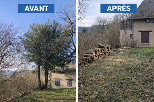 Photo de galerie - Travaux d’élagage, d’abattage et évacuation des branches