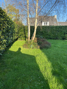 Photo de galerie - Première tonte