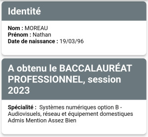 Photo de galerie - Diplôme Baccalauréat Professionnel système numérique 