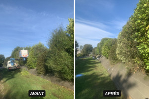 Photo de galerie - Taille d une grande haie sur la commune de Quimperlé