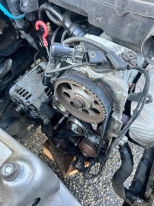 Photo de galerie - Distribution 