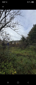 Photo de galerie - Espaces verts 