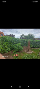 Photo de galerie - Jardinier