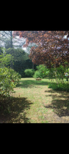 Photo de galerie - Paysagiste - Aménagement du jardin