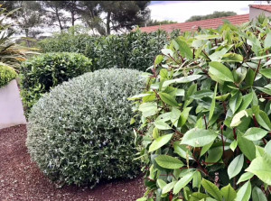 Photo de galerie - Jardinier