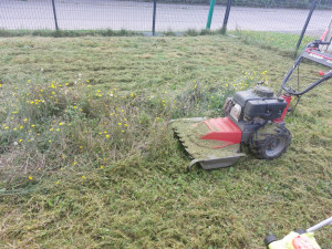 Photo de galerie - Broyage herbe  haute
