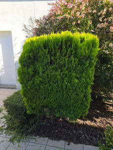 Photo de galerie - Avant