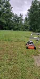 Photo de galerie - Tonte de pelouse 