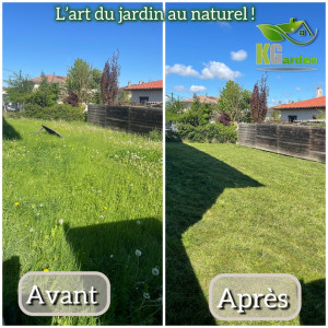 Photo de galerie - Tonte de pelouse 