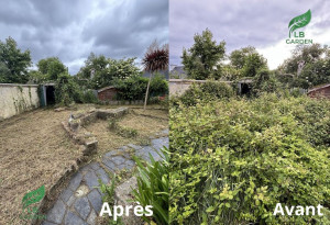 Photo de galerie - Tonte de pelouse - Débroussaillage