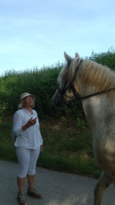 Photo de galerie - Honnête, ponctuelle , sachant gérer les imprévus., je vous propose du gardiennage de votre maison , animaux inclus, à compter du 28 juillet. disponible tout août septembre novembre et décembre